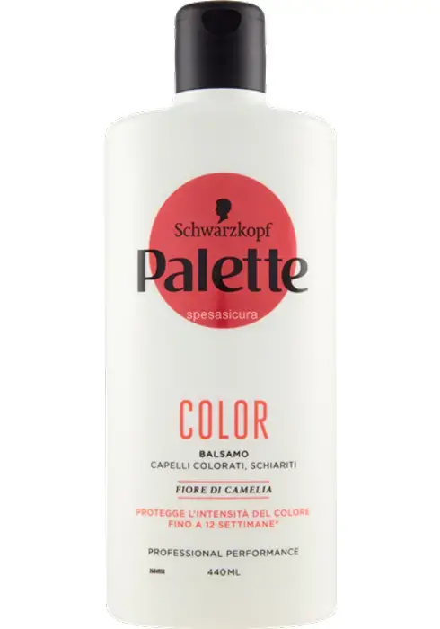 Schwarzkopf Palette COLOR